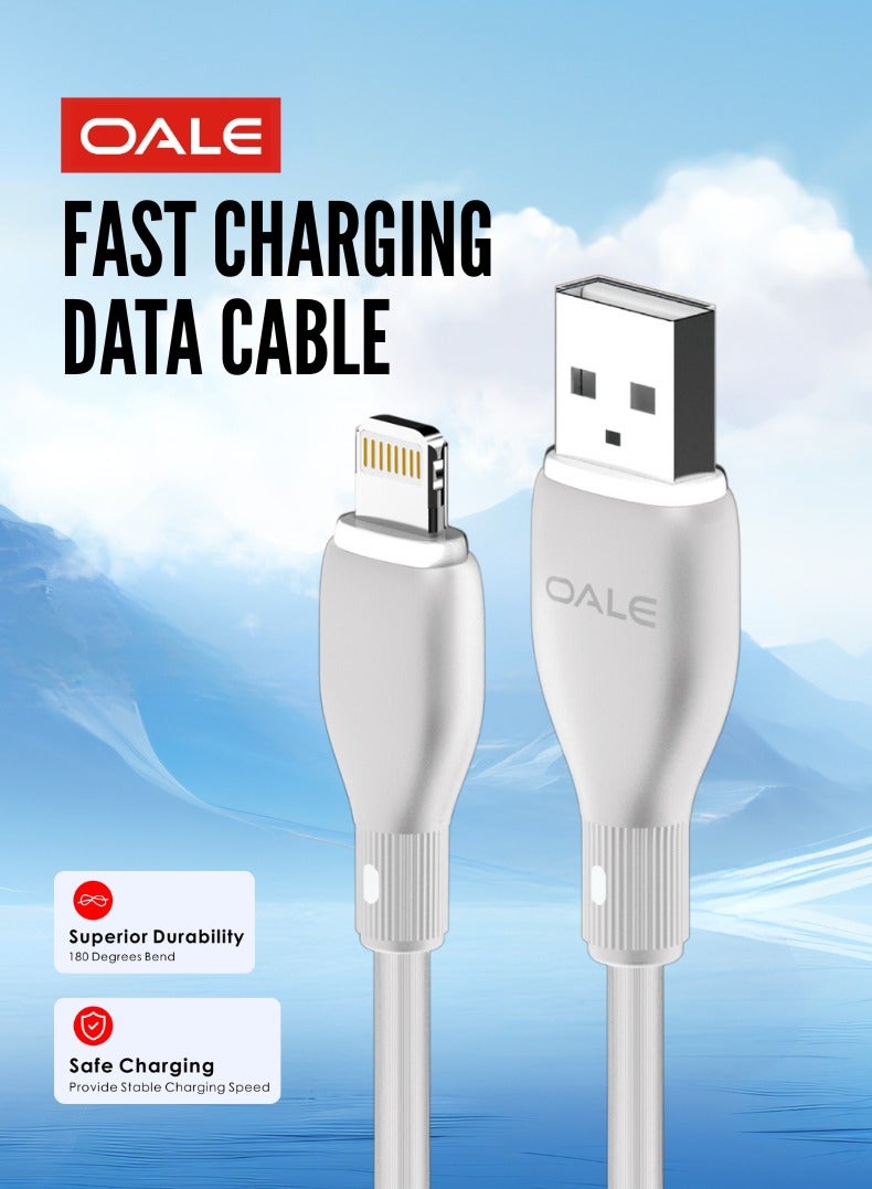 OALE iCable 1 | Lightning to USB Charging Cable | 2A Fast Charge | 480Mbps Data Transfer | 12+1 Month Warranty - Image 1
